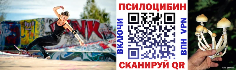 закладки  Заинск  Галлюциногенные грибы мицелий 